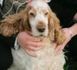 http://www.podcastjournal.net/animal/Titeuf-retrouve-huit-ans-apres-son-kidnapping_a188.html
