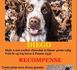 http://www.podcastjournal.net/animal/Recherche-de-mon-chien-vole-avec-demande-de-rancon_a190.html