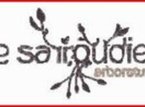Arboretum Le Sarroudier Arboretum Le Sarroudier