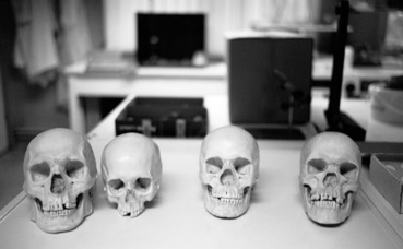 Crânes humains à l'Institut de recherche criminelle de la gendarmerie nationale (IRCGN). Photo (c) Paucal Crânes humains à l'Institut de recherche criminelle de la gendarmerie nationale (IRCGN). Photo (c) Paucal