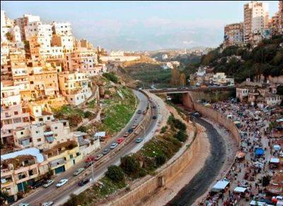 So close yet so hostile! Photo (c) Ibrahim Chalhoub. So close yet so hostile! Photo (c) Ibrahim Chalhoub.