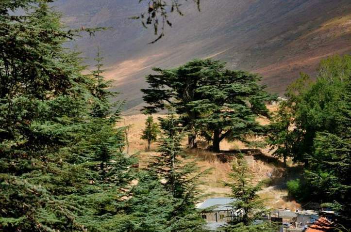 Dans les bras de la montagne. Photo (C) Ibrahim Chalhoub Dans les bras de la montagne. Photo (C) Ibrahim Chalhoub