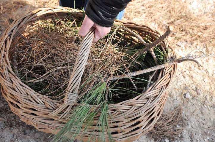 Qui va porter les gros morceaux de bois? Photo (C) Ibrahim Chalhoub Qui va porter les gros morceaux de bois? Photo (C) Ibrahim Chalhoub