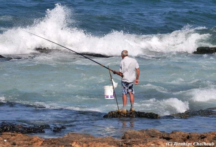 Malgré les vagues! Photo (C) Ibrahim Chalhoub Malgré les vagues! Photo (C) Ibrahim Chalhoub