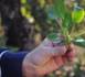 http://www.podcastjournal.net/L-IMAGE-DU-JOUR-Les-vegetariens_a10856.html