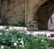 http://www.podcastjournal.net/L-IMAGE-DU-JOUR-La-solitude-apprivoisee_a11673.html