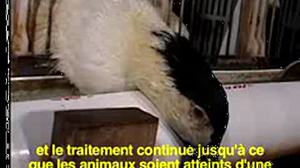 PETA choisit Roger Moore comme "Personnalité de l'Année"