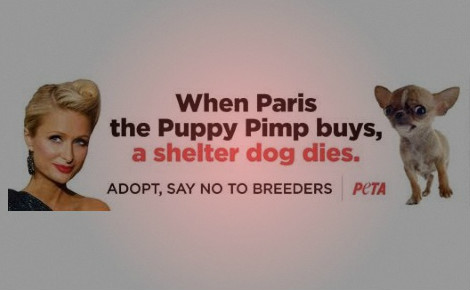 Polémique sur l'élevage canin Polémique sur l'élevage canin