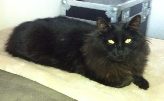 Recherche Mitchou Recherche Mitchou