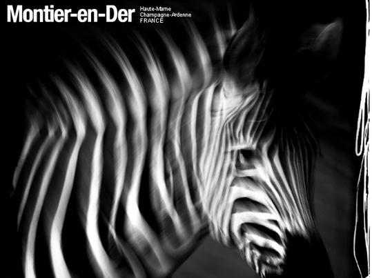 FESTIVAL PHOTO ET PEINTURE ANIMALIERE: L’animal dans toute sa splendeur et en images FESTIVAL PHOTO ET PEINTURE ANIMALIERE: L’animal dans toute sa splendeur et en images