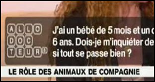 La préparation de nos animaux à l'arrivée d'un bébé La préparation de nos animaux à l'arrivée d'un bébé