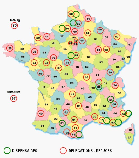 Adopter un animal Adopter un animal