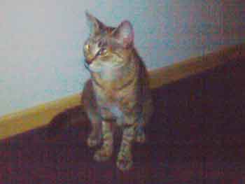 Cliquez sur l'image pour accéder au site Cliquez sur l'image pour accéder au site