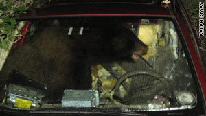 Cliquez sur l'image pour lire l'article original en intégralité Cliquez sur l'image pour lire l'article original en intégralité