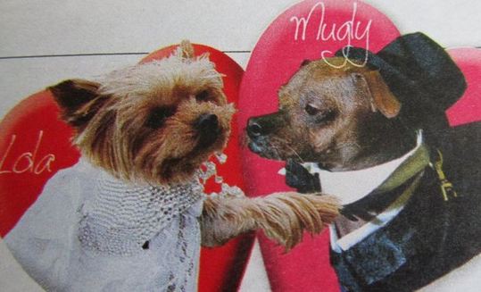 Les jeunes mariés Lola et Ugly Mugly Les jeunes mariés Lola et Ugly Mugly