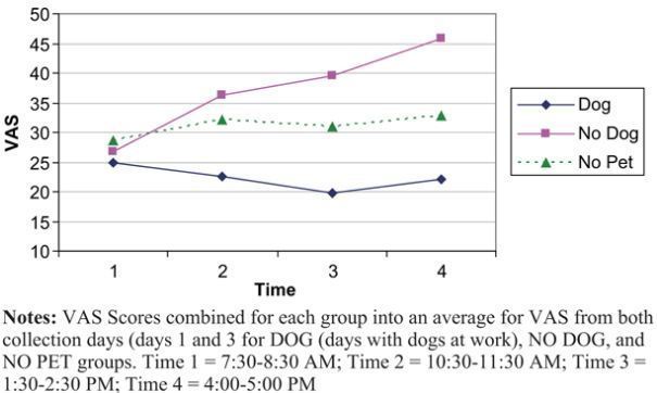 Le chien comme antistress idéal