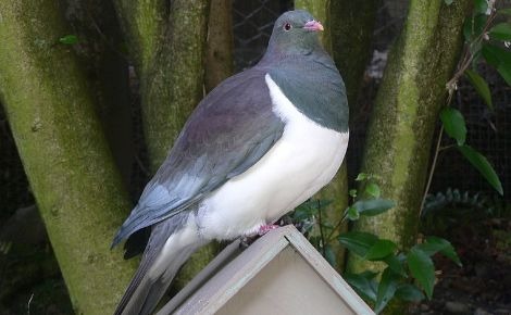 Photo (c) Peter Halasz