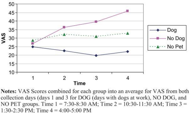 Le chien comme antistress idéal Le chien comme antistress idéal