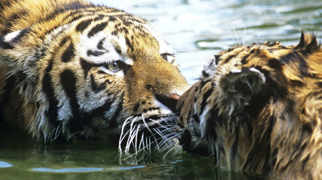 Cliquez ici pour accéder au site Cliquez ici pour accéder au site