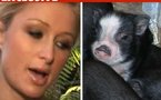 PEOPLE - Paris Hilton et son petit cochon