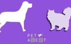 Pet Alert, l'outil pour retrouver un animal perdu