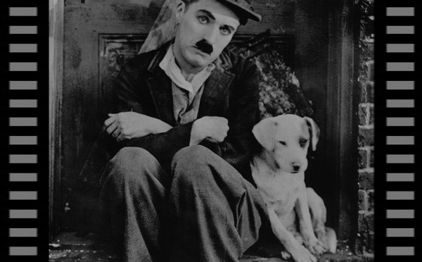 Les chiens vont au cinéma