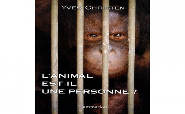 La pensée animale: l'animal est-il une personne?