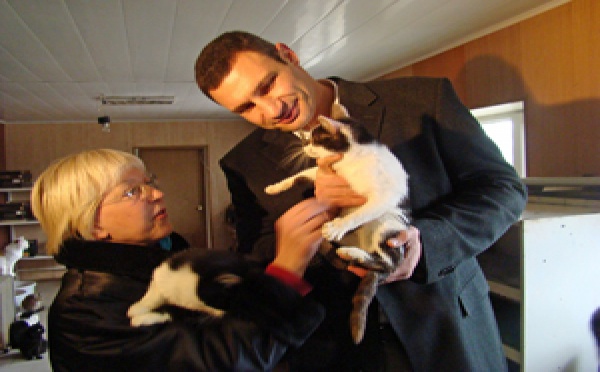 SCANDALE: Chats et chiens brûlés, écrasés, empoisonnés pour l'EURO 2012