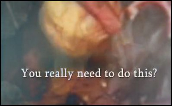 GADHIMAI, le massacre inutile des centaines de milliers d'animaux