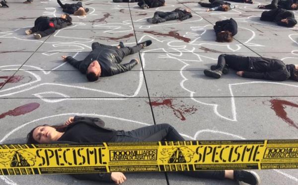 Une scène de crime pour dénoncer le massacre