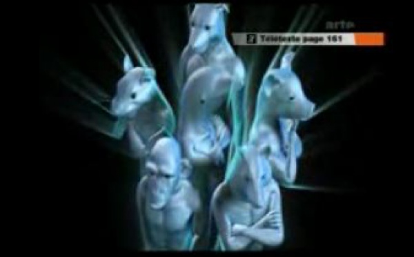 Les dauphins sont des personnes 'non humaines'