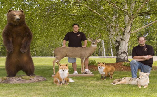 Animaux robots pour piéger les braconniers
