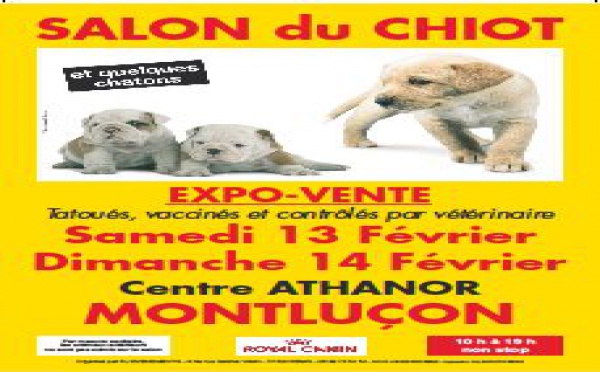 Salon du chiot