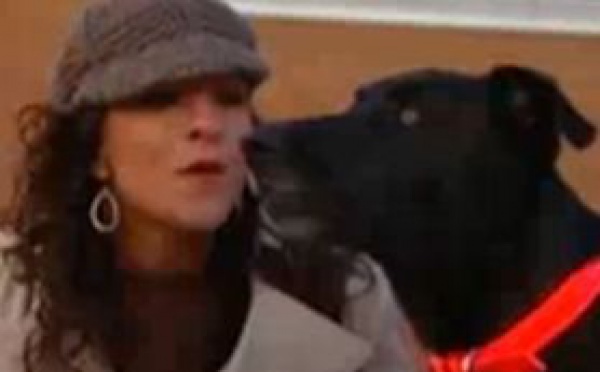 L'animal de compagnie serait plus à l'écoute que le conjoint