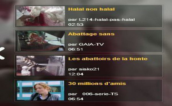 Abattage, halal et non halal