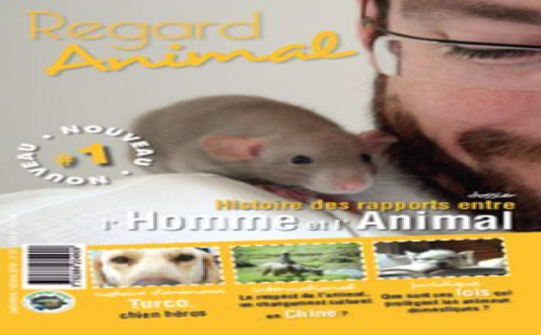 Regard animal, un regard sur les animaux