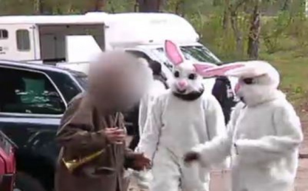 La chasse massacre continue