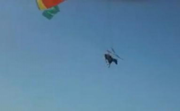 Anapka, l'ânesse 'parachutiste' est décédée