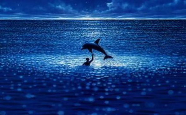 Le dauphin Joséphine, héroïne du Grand bleu, est décédée