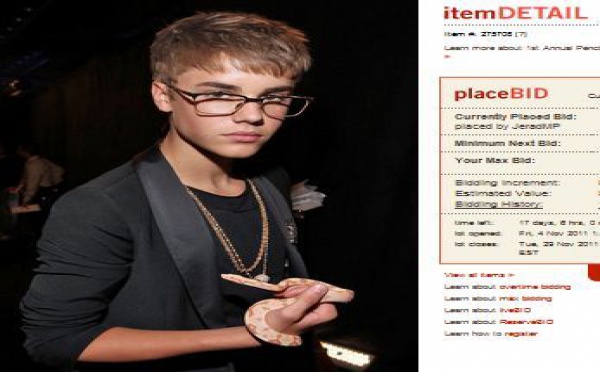 Johnson, le serpent de Justin Bieber aux enchères
