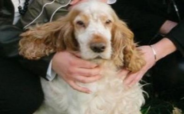 Titeuf retrouvé huit ans après son kidnapping