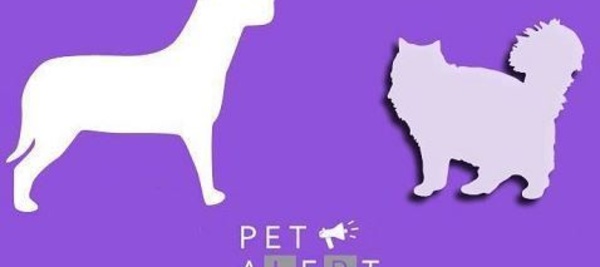 Pet Alert, l'outil pour retrouver un animal perdu