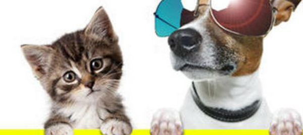 30 Millions Vacances