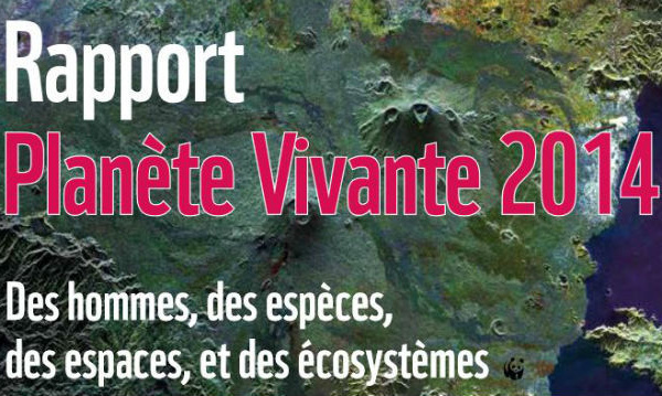 Déclin de la biodiversité planétaire