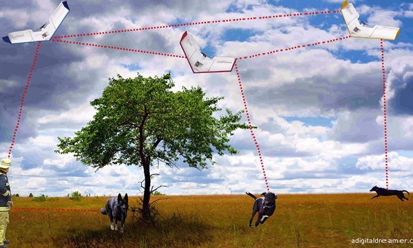 Un projet réunissant humains, animaux et robots