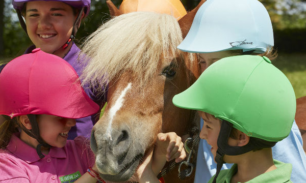 Les poneys stars des Champs-Élysées
