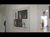 Expo_Amanite_C_Holler