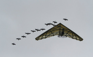 Illustration. Image du domaine public. Illustration. Image du domaine public.