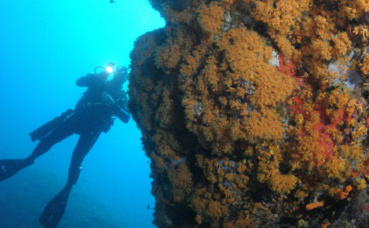 Photo courtoisie (c) DR / DC Photo courtoisie (c) DR / DC