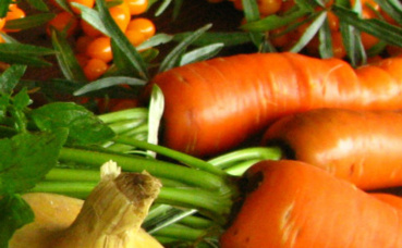 Légumes écologiques cultivés. Photo © Elina Mark Légumes écologiques cultivés. Photo © Elina Mark